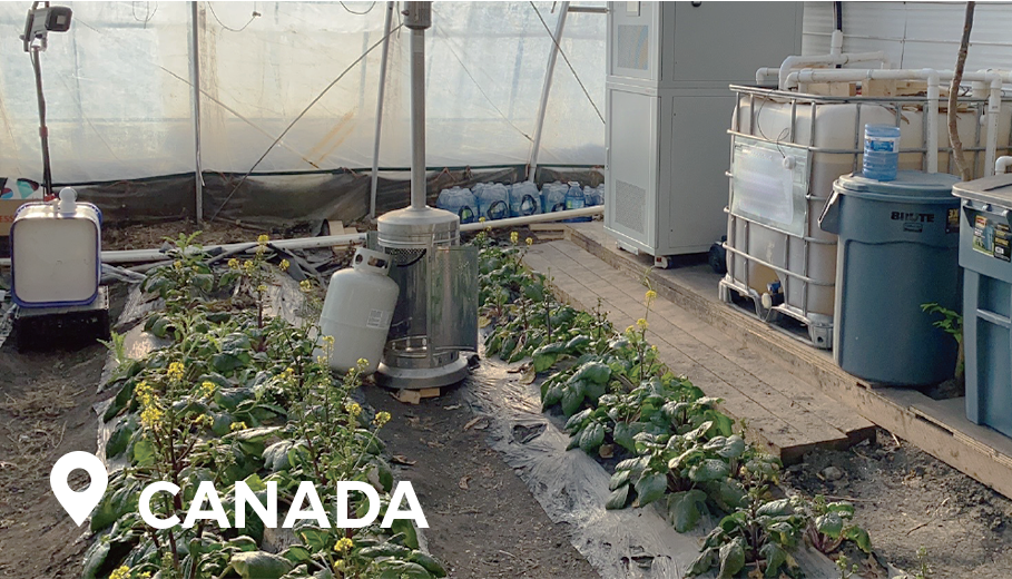 4-Dec-25-2025-02-39-50-5385-AM